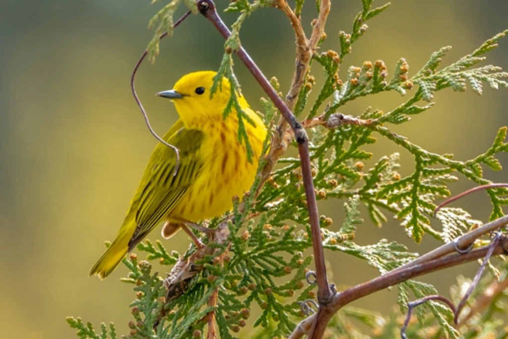 4fcd12e8058c487da3ef7649a8f62f73bbf4dc1e