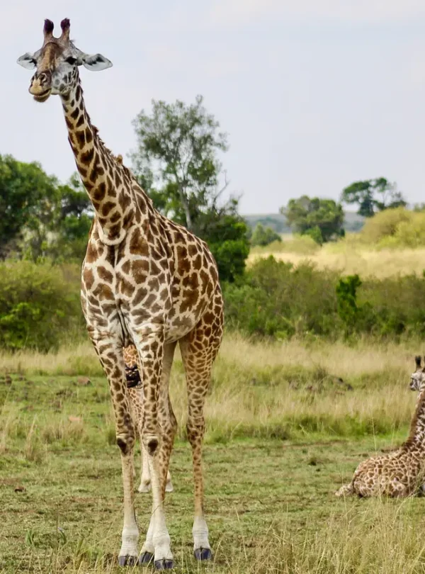Lewenei with clients – Lewenei Tours and Safaris-027